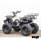 Квадроцикл STALKER 250