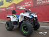 Квадроцикл PROMAX RENEGADE 280 LUX (2025)