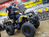 Квадроцикл PROMAX ATV 250 (2025)