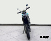Мотоцикл кроссовый BIZON M3 PRO 300