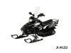 Снегоход C.MOTO Snowmax T-200