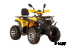 Квадроцикл SPR Armour 200 Pro