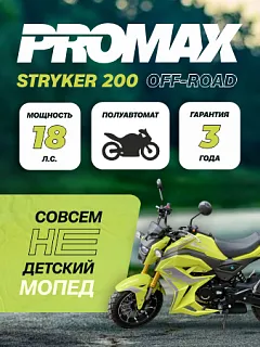 Мотоцикл PROMAX STRYKER 200(49) 2.0
