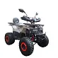 Квадроцикл WELS THUNDER AX125 PRO